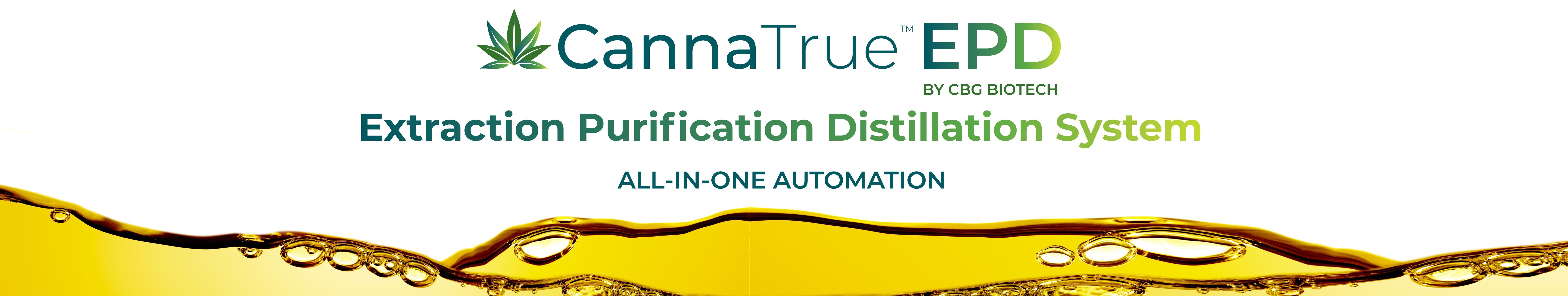 CBG CANNA-WEB TOP2-1-1