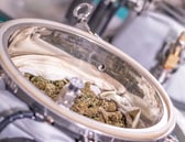 Extraction Module