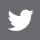 footIcon-Twitter